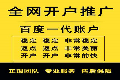 顶级SEM运营公司案例分析